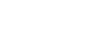 InteGRa.Doc 30 InteGRa.ERP - Logo FondazioneTeatroGrande